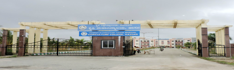 College of Agriculture - Hassan