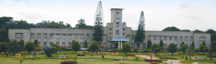 Veterinary College Bangalore - Campus