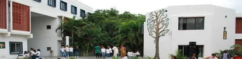 Bangalore International School - campus