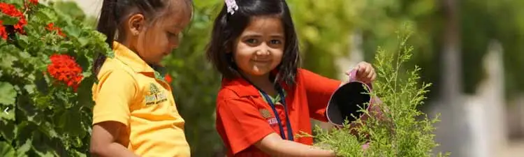 Harvest Cherubs Montessori - campus